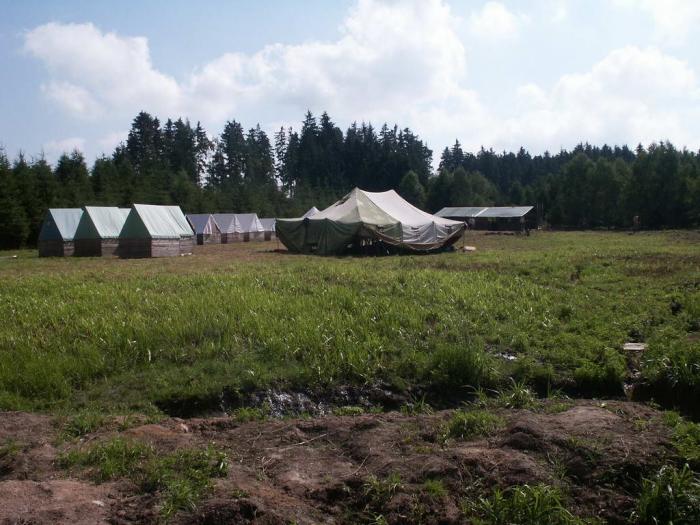 13_stavecka_2006