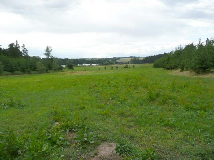 11_brigvaldik_2