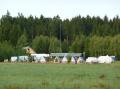 08_tabor_2007