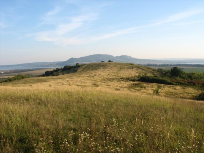 02_dvoudennak_lisaci