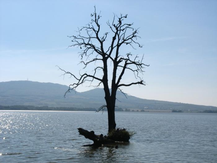 05_dvoudennak_lisaci