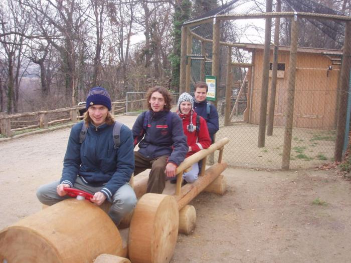04_viden