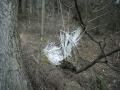 07_ostrov_silvestr