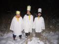 11_trikralova_2009