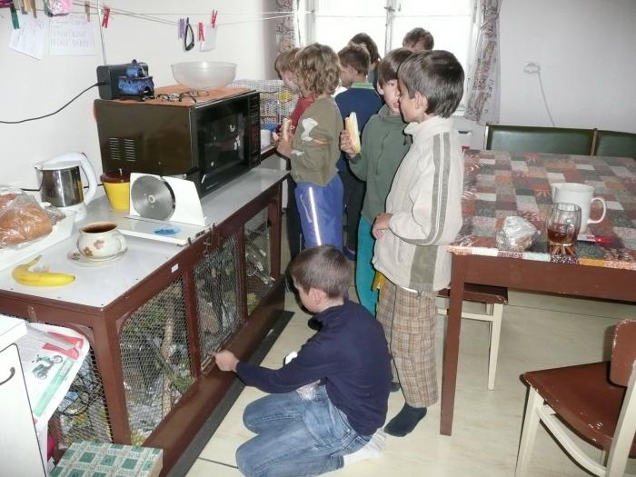 Hlodavci, ukažte se!