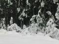 bedrichov_23