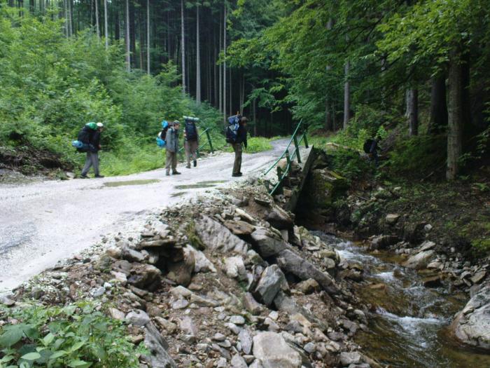 Spadlý most