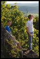 lisaci_vylet_14