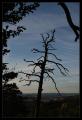 lisaci_vylet_15