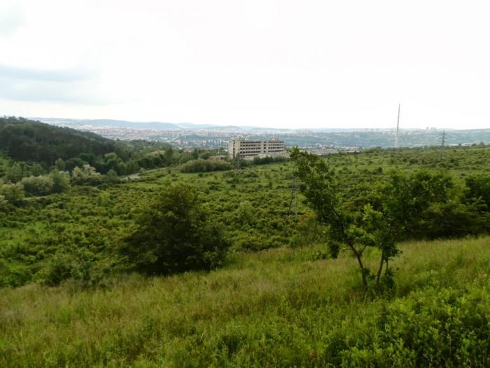 P6010038