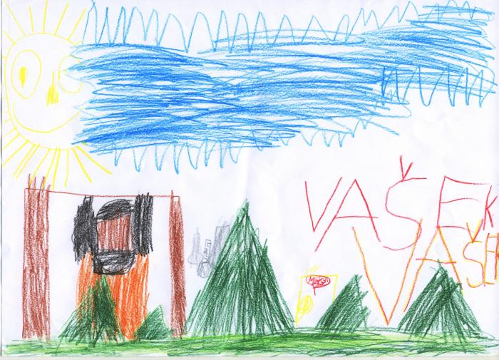 vasek_s