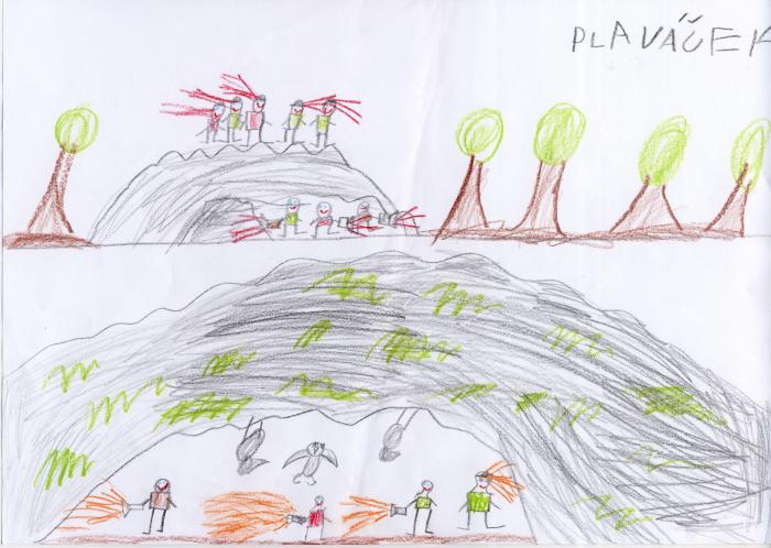 plavacek